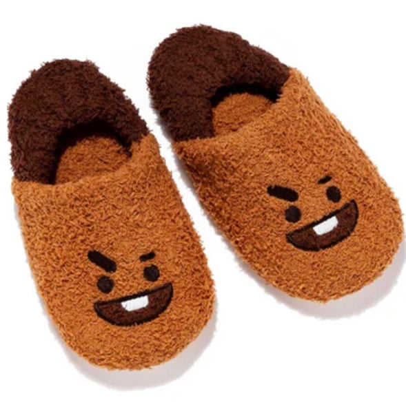 BT21 Room shoes