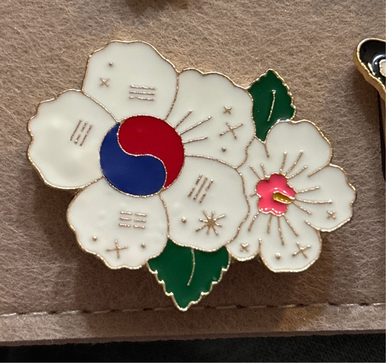 Korean flag pins