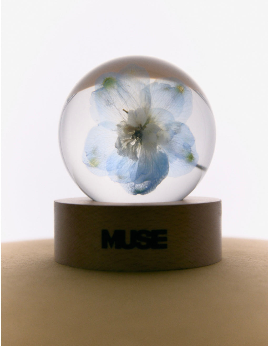 Jimin’s Muse Paper weight flower.