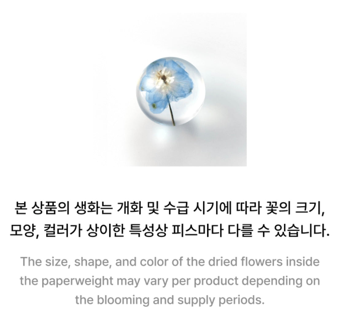 Jimin’s Muse Paper weight flower.