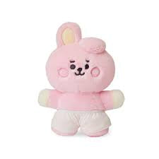 BT21 Costume Plushies