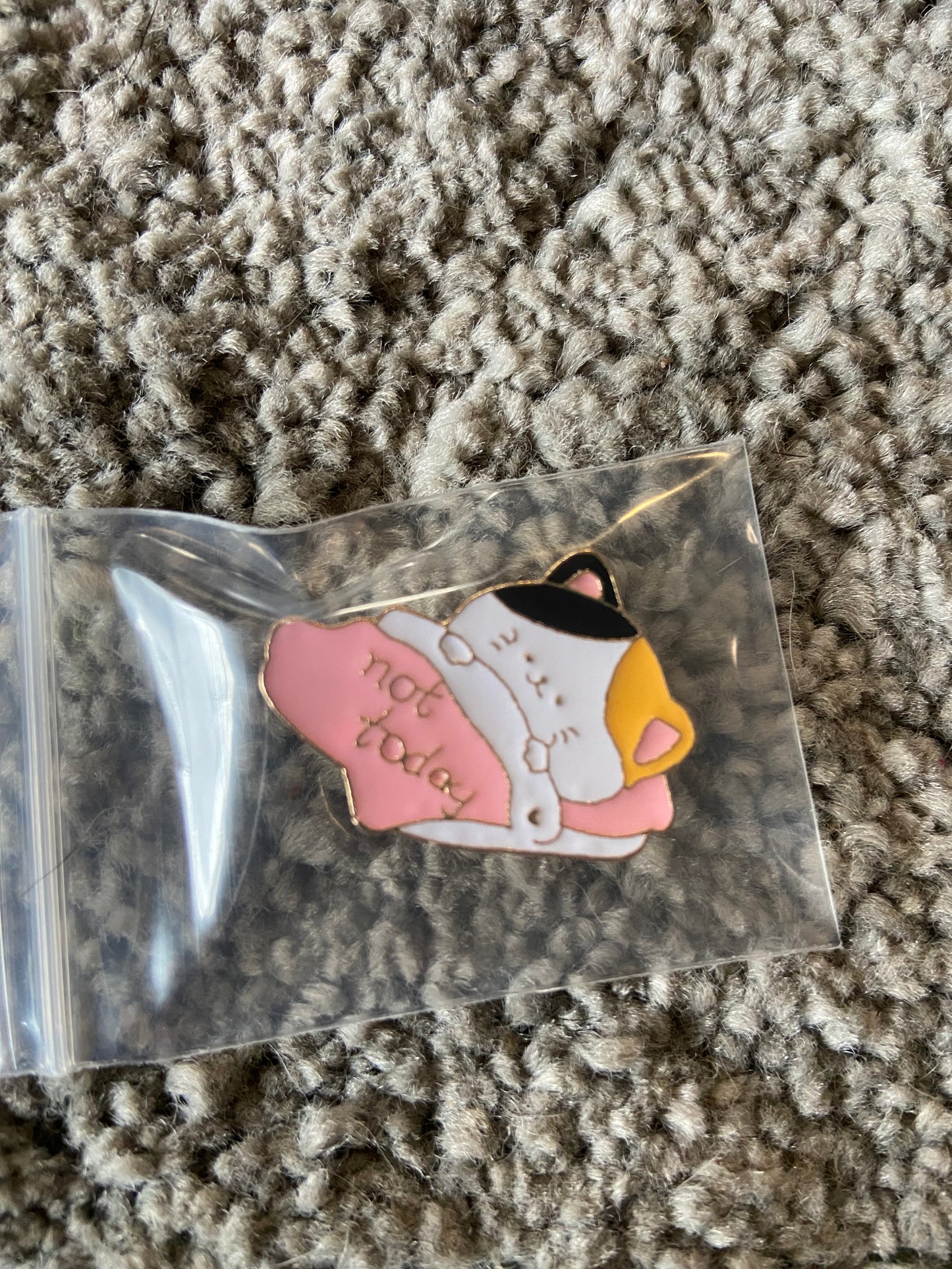 Cat pin “not today”