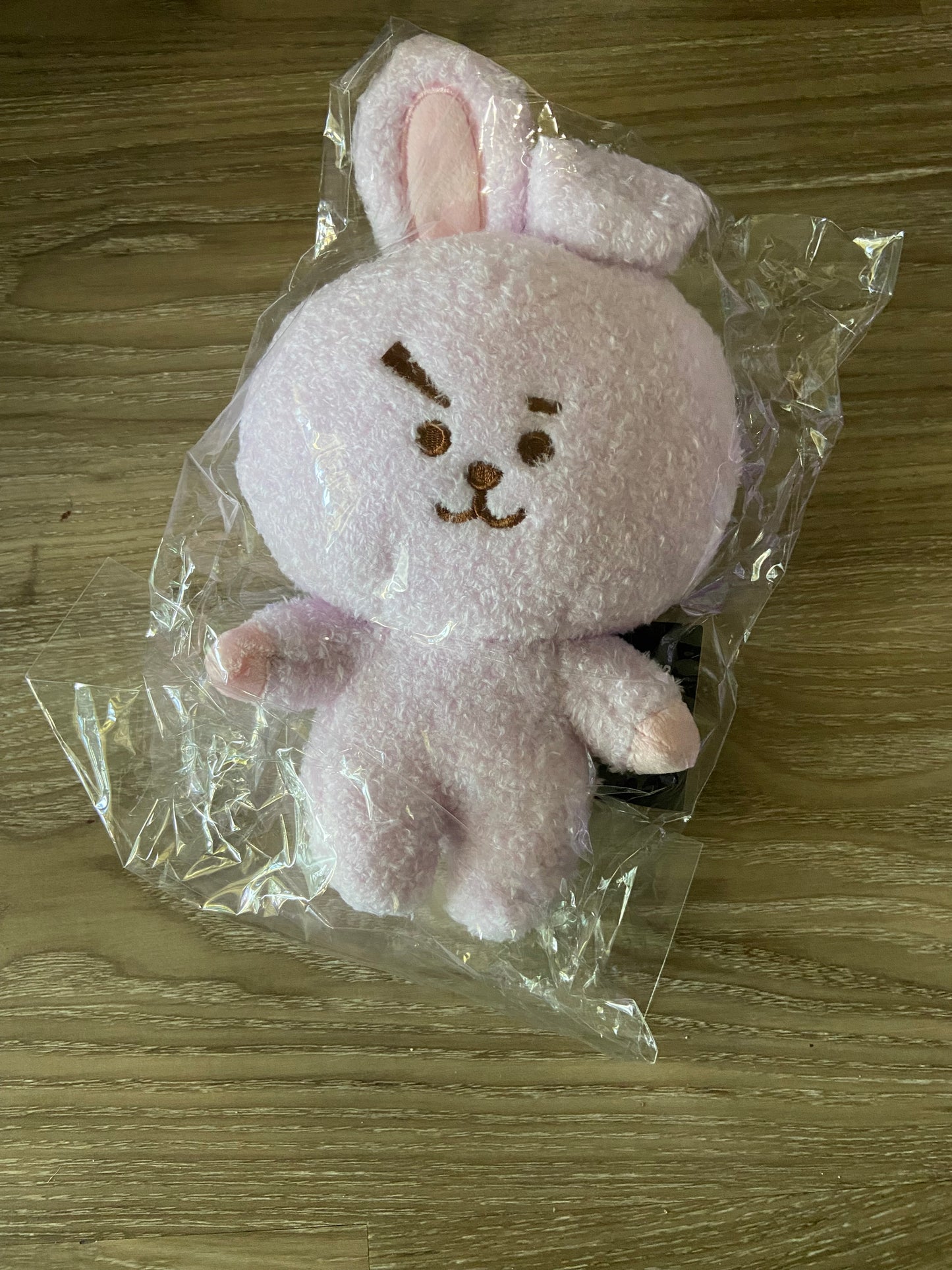 BT21 purple plushies