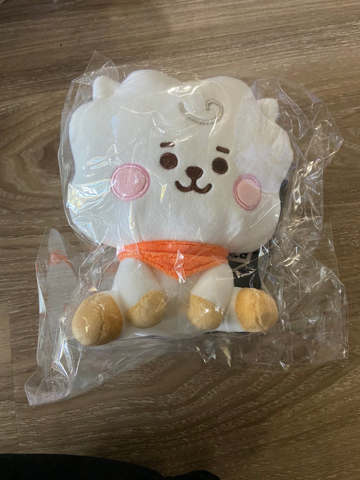 BT21 Sitting baby basic plushies(medium)