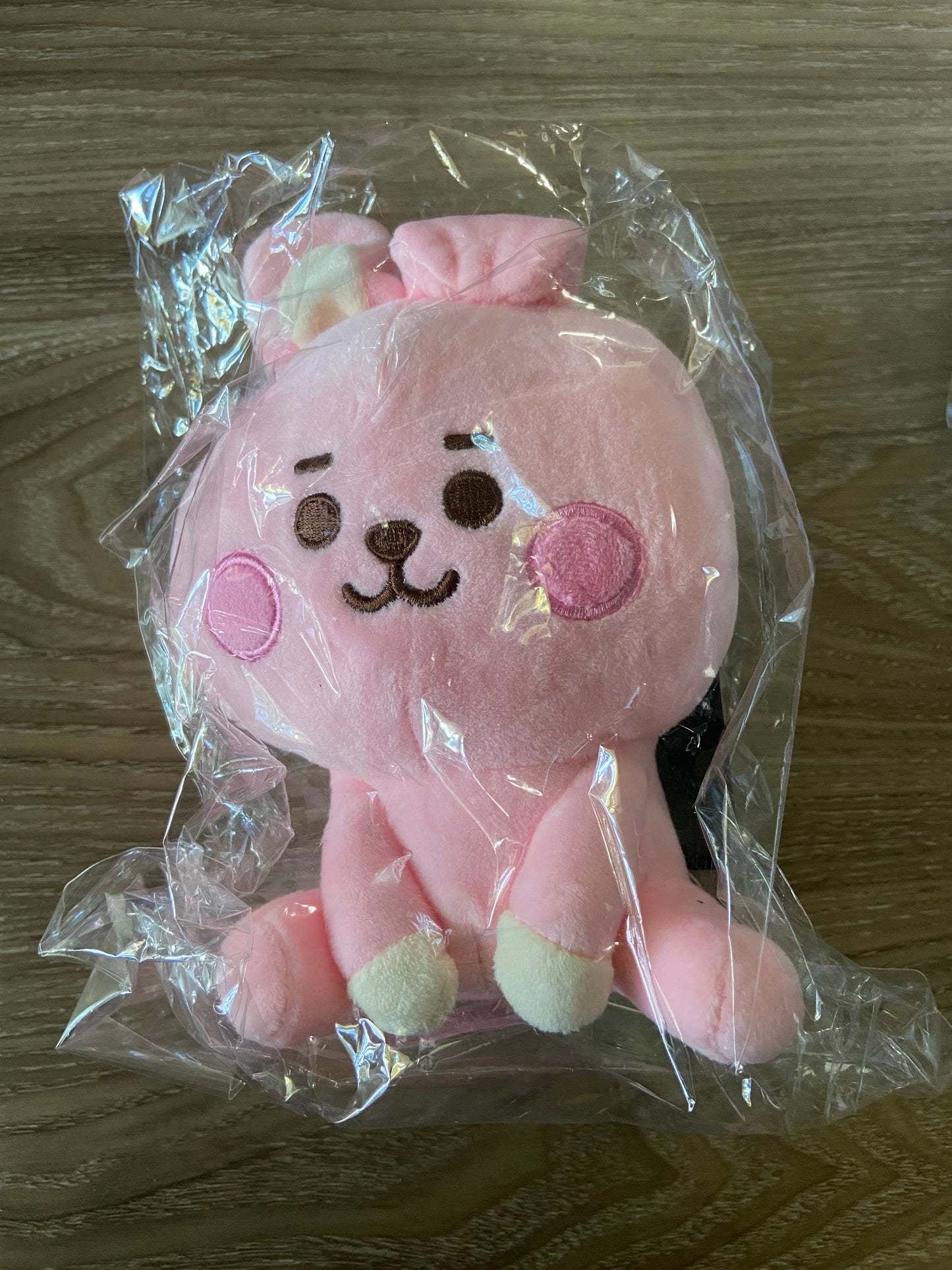 BT21 Sitting baby basic plushies(medium)