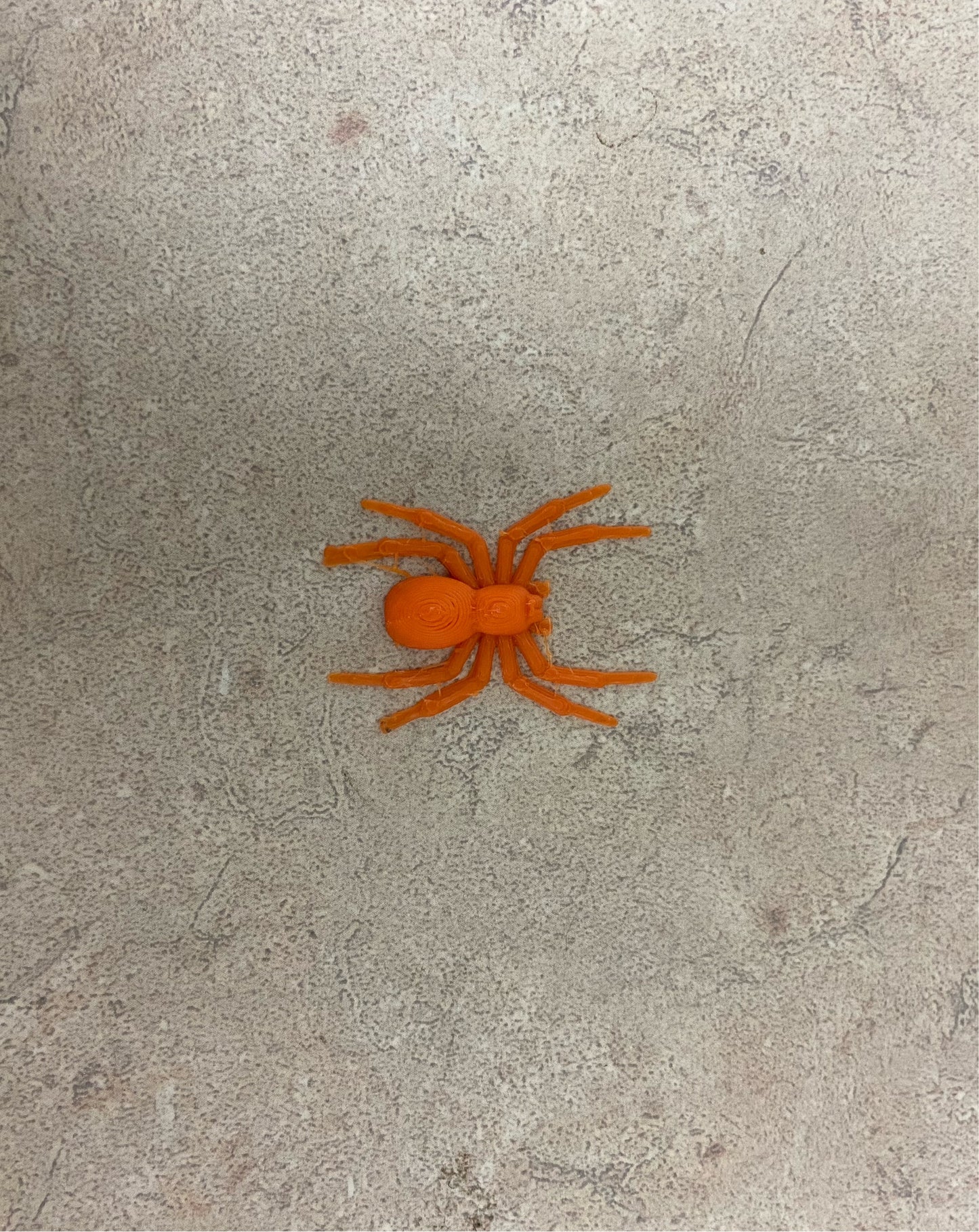 Plastic Spider