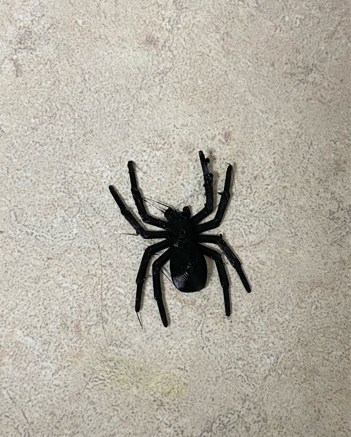 Plastic Spider